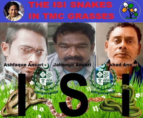 The ISI snakes in TMC Grasses