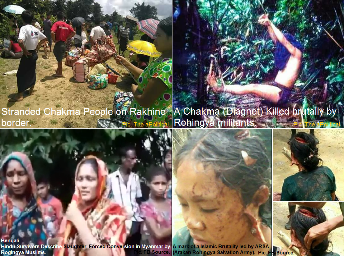 rohingya-muslims-attack-on-hindus-and-chakmas.png